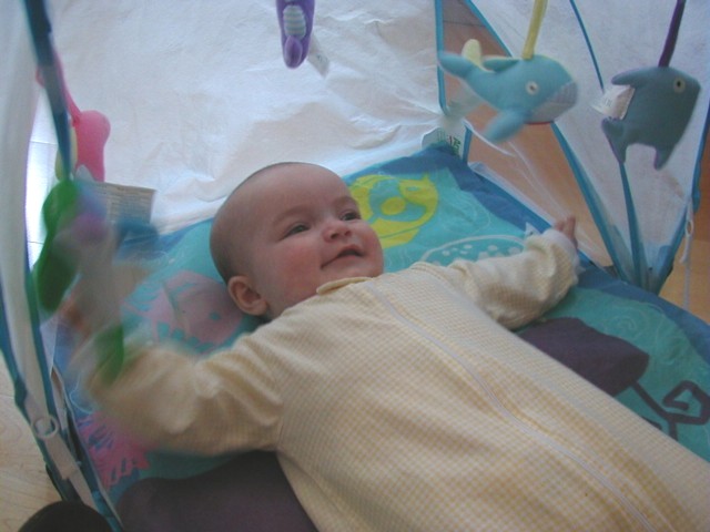 Playing with the Fishes