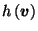 $\displaystyle h\left(\vec{v}\right)$